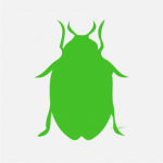 Bed Bugs