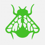 Flies