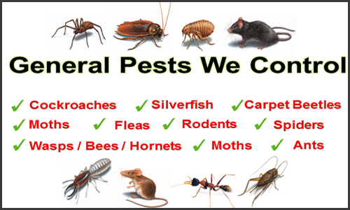 General Pest We Control