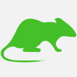 Rodents